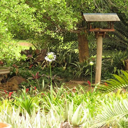 Kiaat Bungalows Hazyview Exterior foto